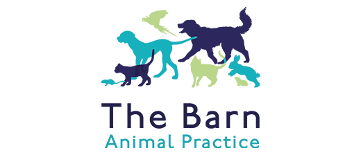 The Barn Animal Practice logo