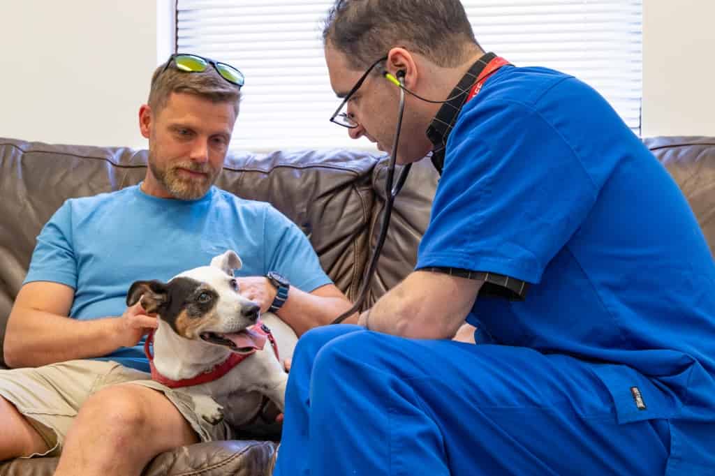 Dog Owner's Delight As AMVS Helps Pet Survive Cancer