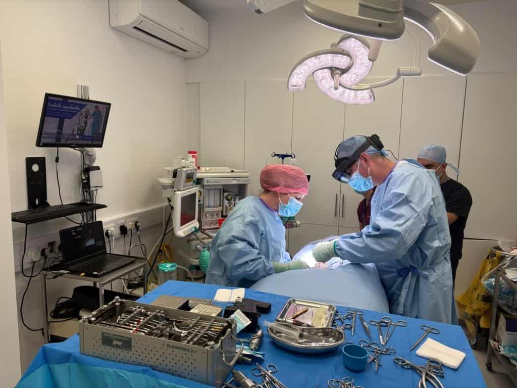 AMVS Vet Uses Combined Virtual And Augmented Reality In Surgery