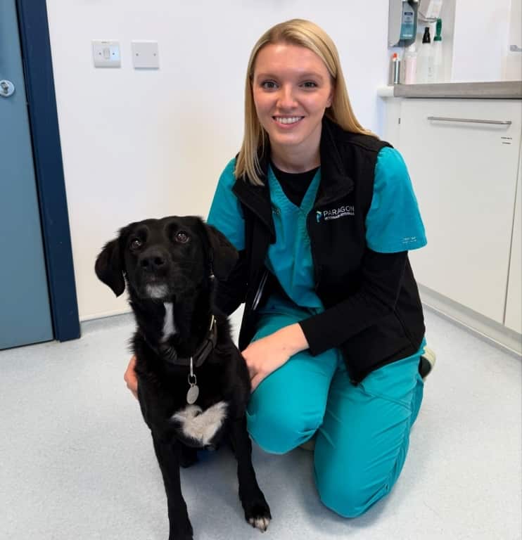 Wakefield Veterinary Nurse Named Among Profession's Elite