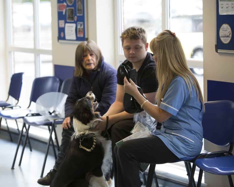 Cherrydown Vets Earns Praise With National Sustainability Award