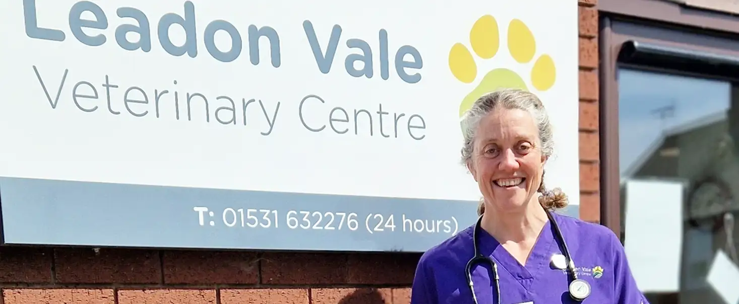 Leadon Vale Collars Top Award For Canine Care