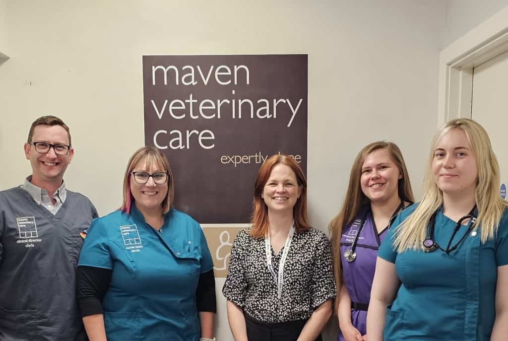 Environmental And Sustainability Award For Maven Vets