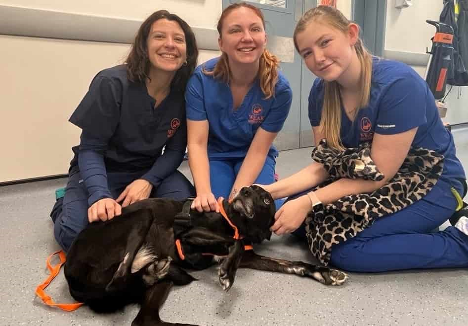 Misty's In The Clear After Spinal Surgery At Wear