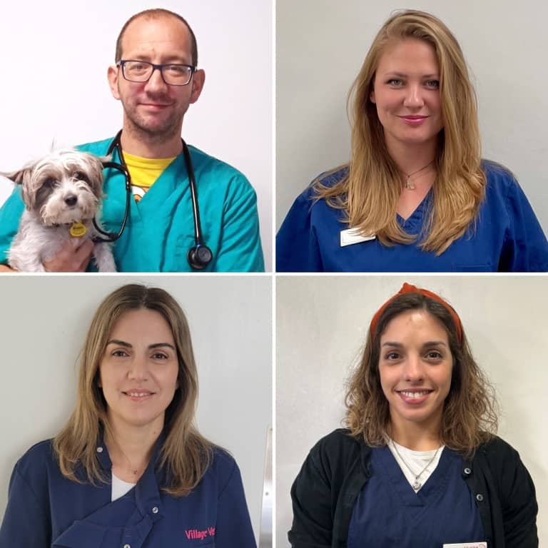 Top Appointments To Lead New Village Vet Service